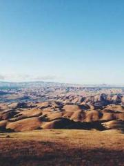 A Spicy Wife from th