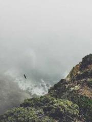 lt;lt;The Trash Husb