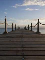 The Apothecaryapos;s