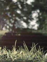 lt;Dragon King Legen