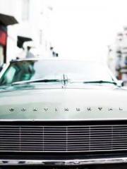 Transmigrated to the